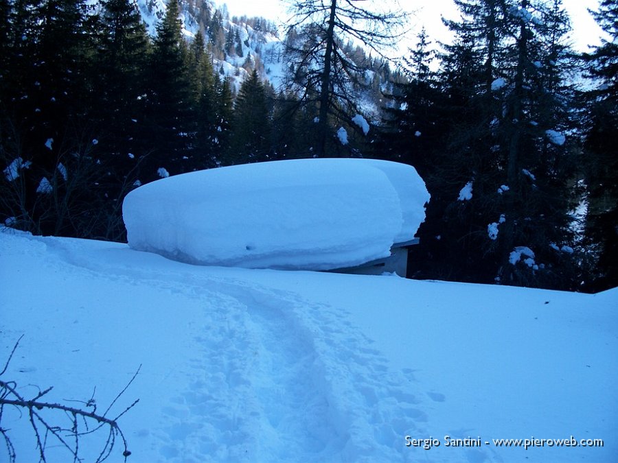 05 Reggerà il peso della neve.JPG